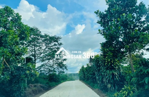 ĐẤT LỘC AN LÂM ĐỒNG CÓ THỔ CƯ TIẾP GIÁP HỒ CHỈ 3,9tr-4,250tr/m2